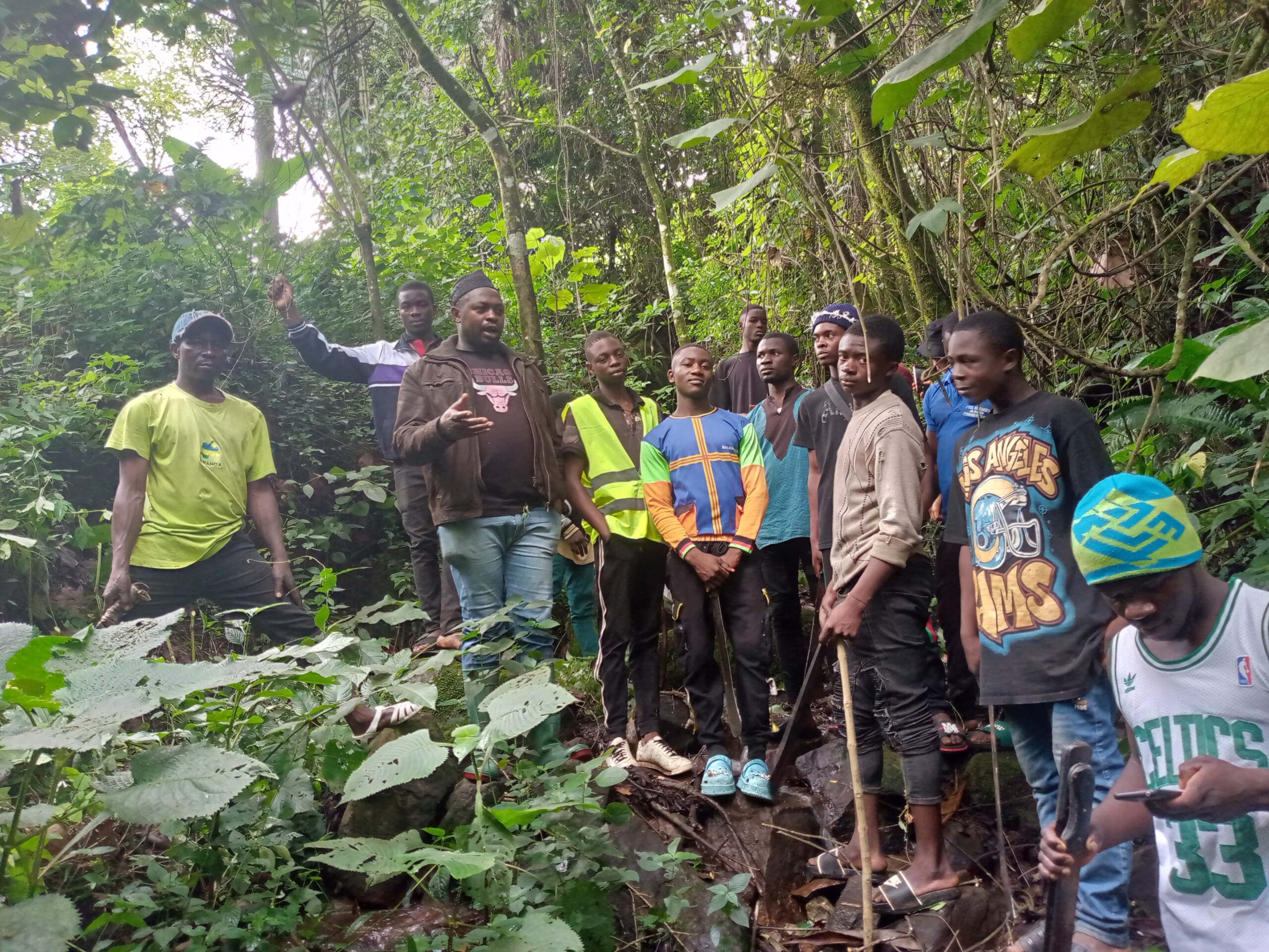 Planting of trees at watersheds and catchment areas within Tubah Municipality